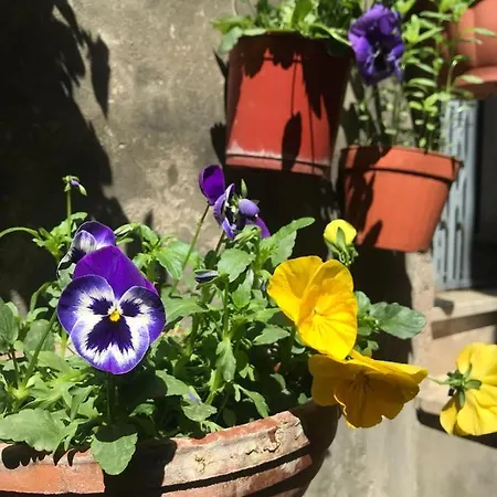 Centro Storico Frühstückspension Anagni