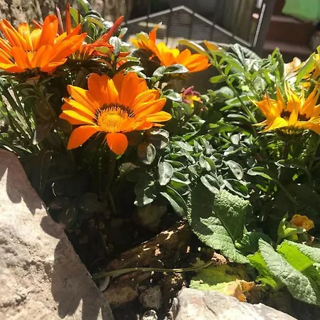 Frühstückspension Centro Storico Anagni