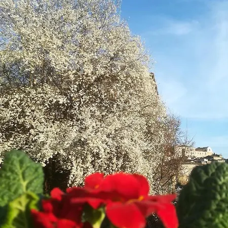 Frühstückspension Centro Storico