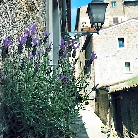 Bed and Breakfast Centro Storico