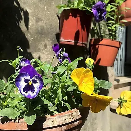 Centro Storico 3* Anagni