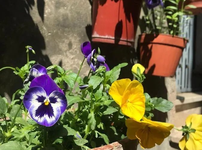 Centro Storico Bed & Breakfast Anagni