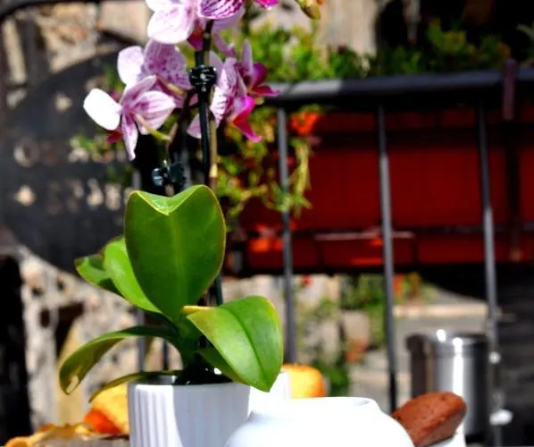 Bed & Breakfast Centro Storico 3*